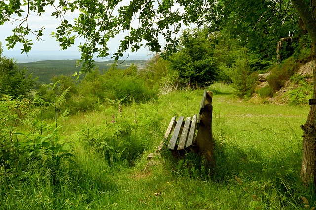 个突破性表 个突破性表