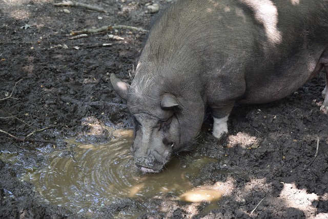 都僅僅止步 都僅僅止步